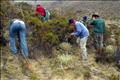 Practica de Ecologia Avanzada Cuenca Turmero